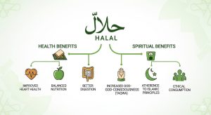 halal food white sauce recipe